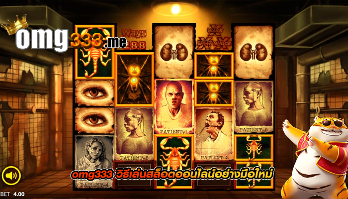 omg333 วิธีเล่นสล็อตออนไลน์อย่างมือใหม่